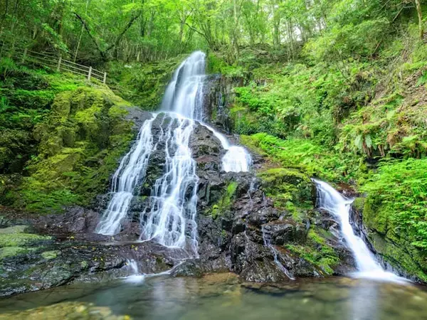 冬に行きたい「山口県の滝」ランキング！ 2位「秋芳白糸の滝」を抑えた1位は？【2026年調査】