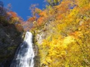 長期休みに行きたい「青森県の穴場秘境」ランキング！ 2位「くろくまの滝」、1位は？ 【2025年調査】