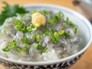 旅先で食べたい「和歌山県のご当地グルメ」ランキング！ 2位「しらす丼」を抑えた1位は？ 【2025年調査】