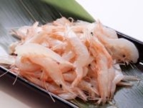 旅先で食べたい「富山県のご当地グルメ」ランキング！ 2位「白エビ」、1位は？ 【2025年調査】