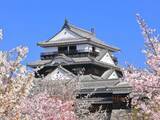 「【男性が選ぶ】春に行きたい「愛媛県の旅行先」ランキング！ 2位「松山城」を抑えた1位は？【2026年調査】」の画像1