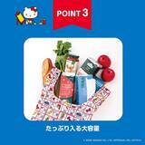 「【付録】70年代アートのハローキティがたまらない「レトロエコバッグ＆リボンポーチ」が付いてくる！ 『HELLO KITTY レトロエコバッグ＆リボンポーチBOOK』が6月26日発売」の画像3