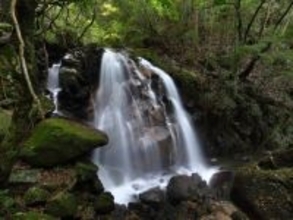 冬に行きたい「滋賀県の滝」ランキング！ 2位「鶏鳴の滝」を抑えた1位は？【2026年調査】