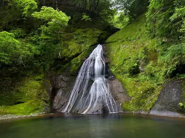 冬に行きたい「和歌山県の滝」ランキング！ 2位「請川のお滝さん」を抑えた1位は？【2026年調査】