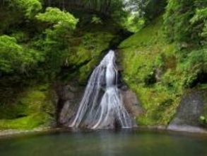 冬に行きたい「和歌山県の滝」ランキング！ 2位「請川のお滝さん」を抑えた1位は？【2026年調査】