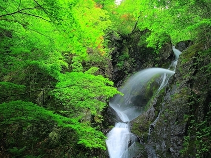 冬に行きたい「岩手県の滝」ランキング！ 2位「七折の滝」を抑えた1位は？【2026年調査】