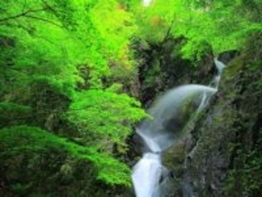 冬に行きたい「岩手県の滝」ランキング！ 2位「七折の滝」を抑えた1位は？【2026年調査】