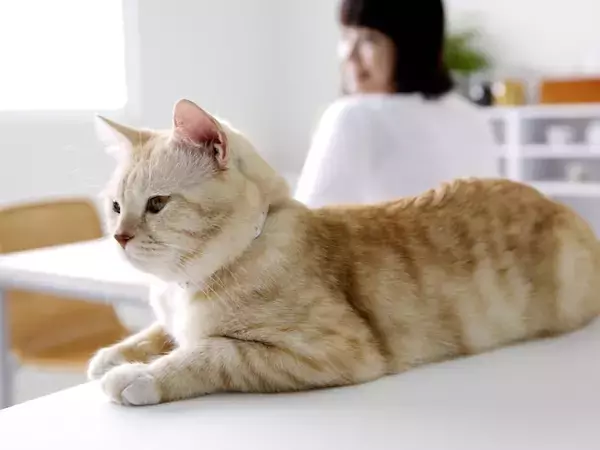 「無料だから」と飛びつかない。老後の孤独を防ぐため、69歳女性が秋に向けて始めたこと
