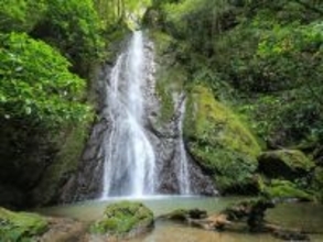 冬に行きたい「愛媛県の滝」ランキング！ 2位「紅葉ケ滝」を抑えた1位は？【2026年調査】