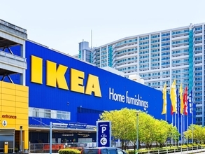 「廃盤になると困るので追加で4個購入」IKEA“VIDEVECKMAL ヴィデヴェックマル”の食器洗いブラシが便利。ブラシと洗剤が一体化して199円