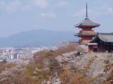 「京都の桜、どこが正解？ “名所のプロ”が本気で推す「一生に一度は見たい」春の絶景3選【2026年最新】」の画像1
