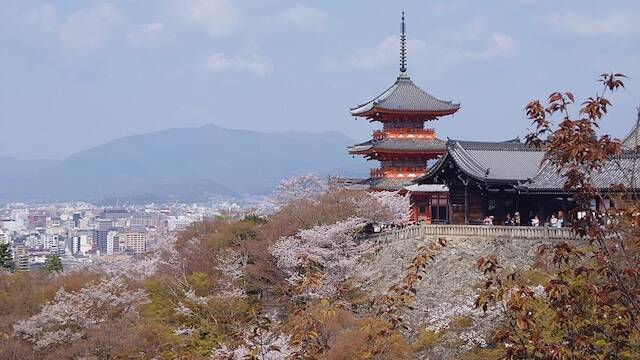 京都の桜、どこが正解？ “名所のプロ”が本気で推す「一生に一度は見たい」春の絶景3選【2026年最新】