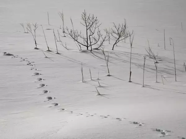 冬に行きたい「福島県の穴場秘境」ランキング！ 2位「観音沼森林公園」を抑えた1位は？【2026年調査】
