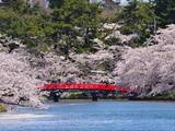 「青森県の市で「名前がかっこいい」と思う市5選！ 「弘前市」を抑えて最多票だったのは？【2026年調査】」の画像1