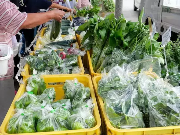 【横浜市】観光地でも新鮮「横浜野菜」が買える！ 行列必至のファーマーズマーケット2選