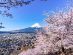 「日本の公立小の教え」は“最強の武器”だとアメリカで痛感。「遅刻しない」「責任感」だけで高評価？