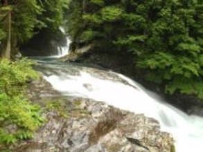 冬に行きたい「奈良県の滝」ランキング！ 2位「みたらいの滝」を抑えた1位は？【2026年調査】