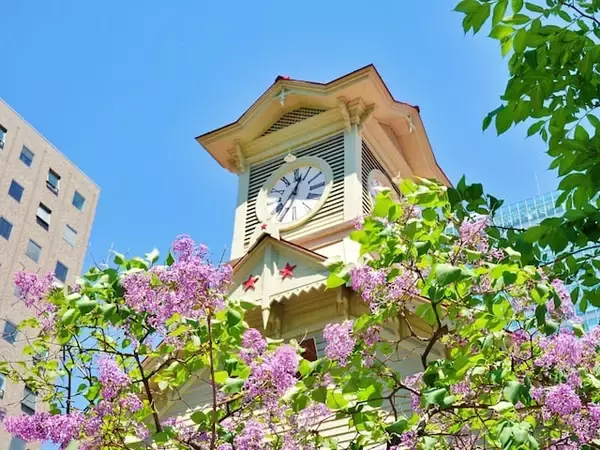 「春に行きたいと思う「北海道の旅行先」ランキング！ 2位「札幌市時計台」を抑えた1位は？【2026年調査】」の画像
