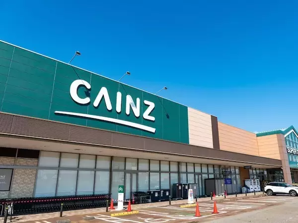 「革命ですね」カインズの“バスケットにもなる洗濯ネット”が話題。運ぶ・洗う・干すがひとつで完結