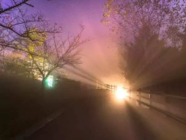 遠方からでも行きたいと思う「奈良県の道の駅」ランキング！ 2位「吉野路 大塔」を抑えた1位は？ 【2025年調査】