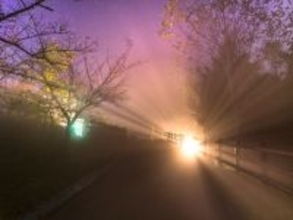 遠方からでも行きたいと思う「奈良県の道の駅」ランキング！ 2位「吉野路 大塔」を抑えた1位は？ 【2025年調査】