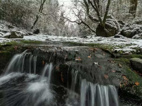 冬に行きたい「熊本県の穴場秘境」ランキング！ 2位「菊池渓谷」を抑えた1位は？【2026年調査】