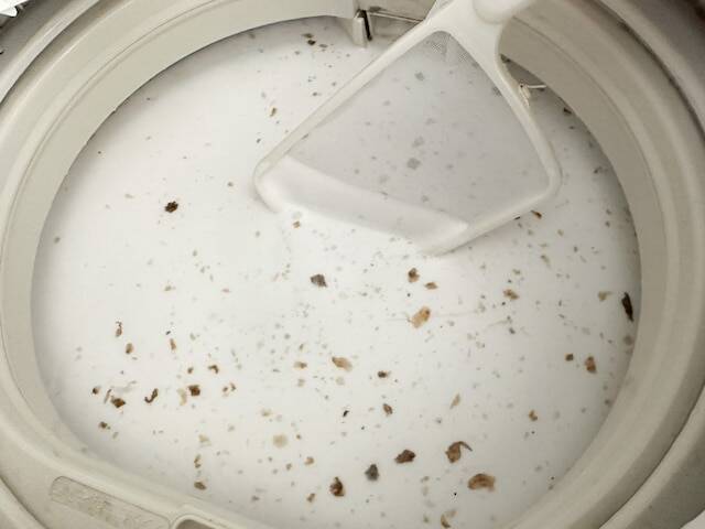 洗濯槽の「黒わかめ」の正体は？ 黒わかめを防ぐ“5つの習慣”と“注意点”