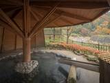 「【福島県で泊まってよかった】24時間温泉三昧。窓から眺める四季折々の自然が魅力な「土湯温泉 はるみや旅館」」の画像5