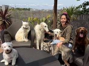 好きな「愛犬家の女性芸能人」ランキング！ 2位「森泉」を抑えた1位は？【2026年調査】