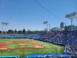 「「結局プロ野球観戦に行くならファンクラブに入っていた方が…」年収400万円・20歳男性が後悔した節約」の画像1