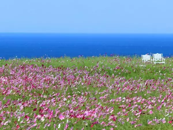 読むのが難しいと思う「高知県の自治体」ランキング！ 2位「奈半利町」を抑えた1位は？【2026年調査】