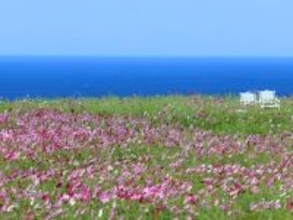 読むのが難しいと思う「高知県の自治体」ランキング！ 2位「奈半利町」を抑えた1位は？【2026年調査】