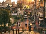 「好き＆行ってみたい「東京都の商店街・市場」ランキング！ 2位「谷中銀座商店街」、1位は？【2026年調査】」の画像1