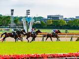 「支出16万円で年60万円貯金「趣味の競馬は月2回。最近ポイ活も始めた」66歳男性の年金ひとり暮らし」の画像1