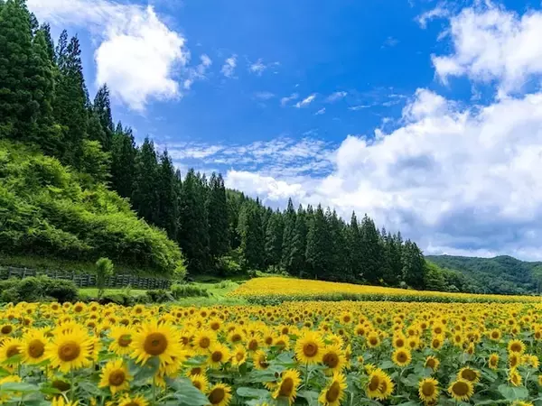 「『桃太郎電鉄』で読むのが難しいと思う「福島県の物件駅」ランキング！ 2位「飯館」を抑えた1位は？【2026年調査】」の画像