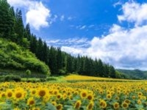 『桃太郎電鉄』で読むのが難しいと思う「福島県の物件駅」ランキング！ 2位「飯館」を抑えた1位は？【2026年調査】