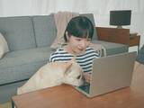 「優待も配当も狙える！NISA向きの6月の優待株・3選」の画像1