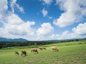 特産品が楽しめると思う「岡山県の道の駅」ランキング！ 2位「蒜山高原」を抑えた1位は？【2025年調査】