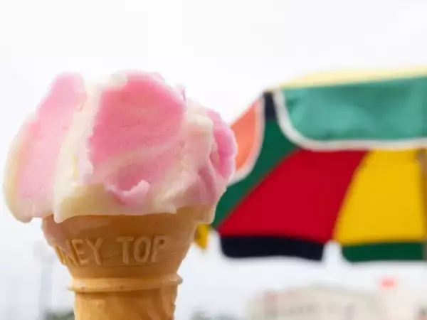 「話のネタになりそうな「秋田県のお土産」9選！ 2位「ババヘラ・アイス」を抑えた1位は？【2026年調査】」の画像