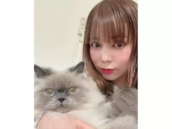 好きな「愛猫家の女性芸能人」ランキング！ 2位「中川翔子」、11票差の1位は？