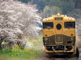 「夫婦で1泊6万円「選んだ電車が大正解だった」年4回以上旅する69歳男性の湯布院温泉旅」の画像1