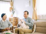 「年金月14万円台「妻と犬との暮らしは少し寂しくて穏やか」72歳男性の老後」の画像1