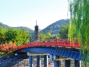 老後に住みたい「京都府の自治体」ランキング！ 2位「宇治市」を抑えた1位は？ 【2025年調査】