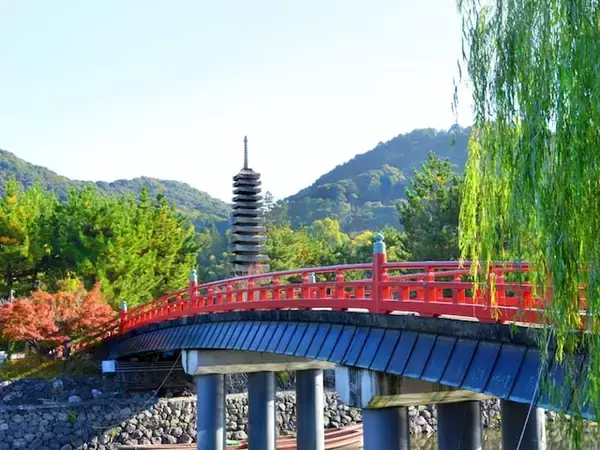 老後に住みたい「京都府の自治体」ランキング！ 2位「宇治市」を抑えた1位は？ 【2025年調査】