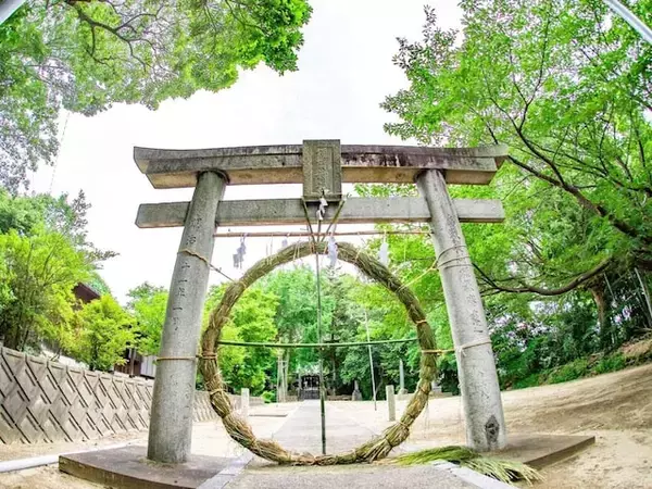 6月末になると神社に現れる「巨大な輪っか」の正体は？  意味とくぐり方を和文化研究家が解説