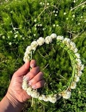 北斗晶、亡き愛犬へシロツメクサの花冠「いつでも花ちゃんの事を思ってるよ～」