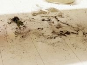 北斗晶、帰宅して唖然とした部屋の惨状を報告「床一面泥だらけ」