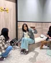 花田虎上の妻、娘たちと犬カフェ訪問を報告「チワワのかわいさが爆発」