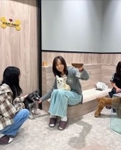 花田虎上の妻、娘たちと犬カフェ訪問を報告「チワワのかわいさが爆発」