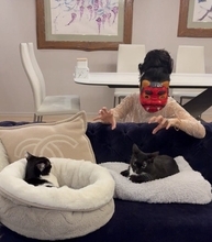 藤あや子、節分に鬼になりきるも愛猫は不思議顔「何してんの？」